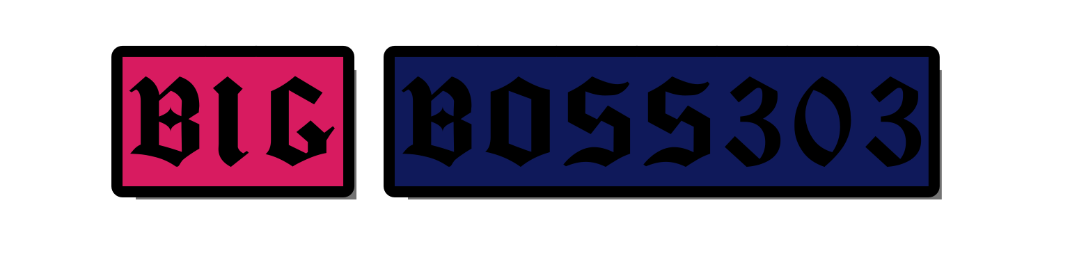 BIGBOSS303